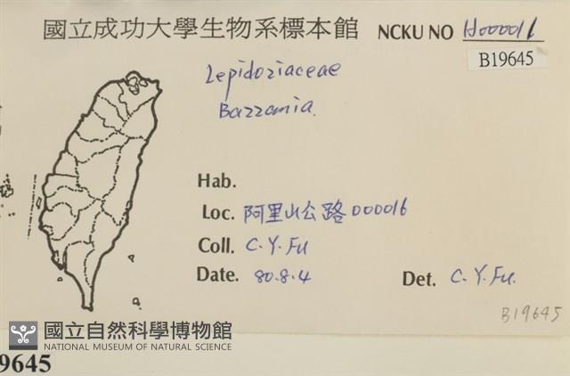 登錄號:B00019645藏品圖，第2張