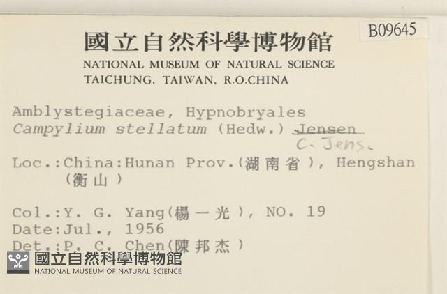 登錄號:B00009645藏品圖，第2張