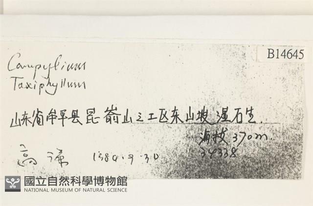 登錄號:B00014645藏品圖，第2張