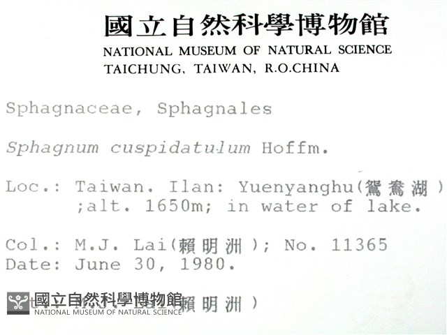 登錄號:B00003645藏品圖，第2張