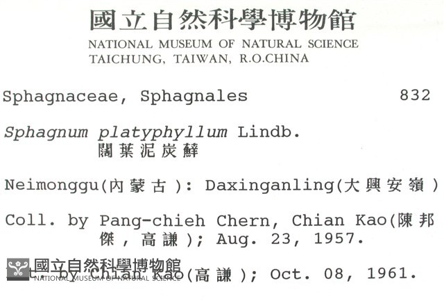 寬葉泥炭蘚藏品圖，第2張