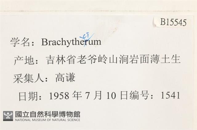 登錄號:B00015545藏品圖，第2張