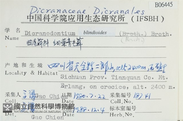 細葉青毛蘚藏品圖，第2張