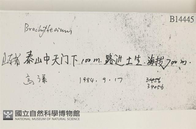 登錄號:B00014445藏品圖，第2張