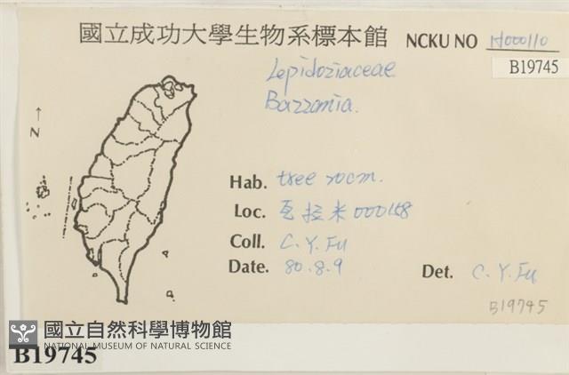 登錄號:B00019745藏品圖，第2張