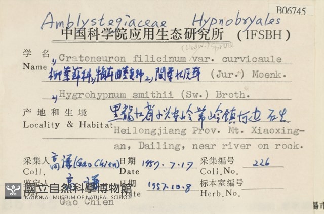 牛角蘚曲莖變種藏品圖，第2張