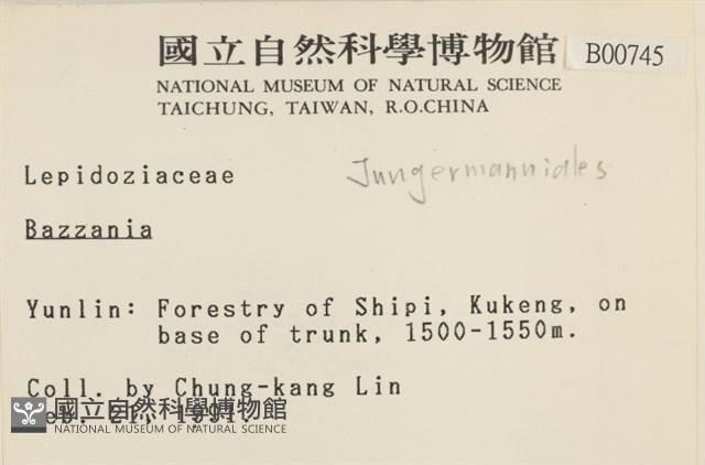 登錄號:B00000745藏品圖，第2張