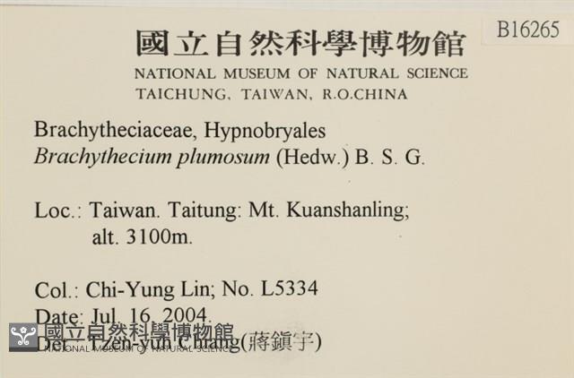 羽枝青蘚藏品圖，第2張
