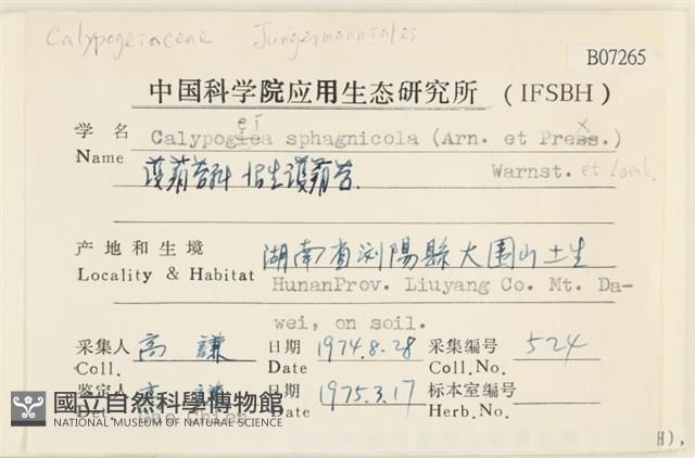 沼生護蒴苔藏品圖，第2張