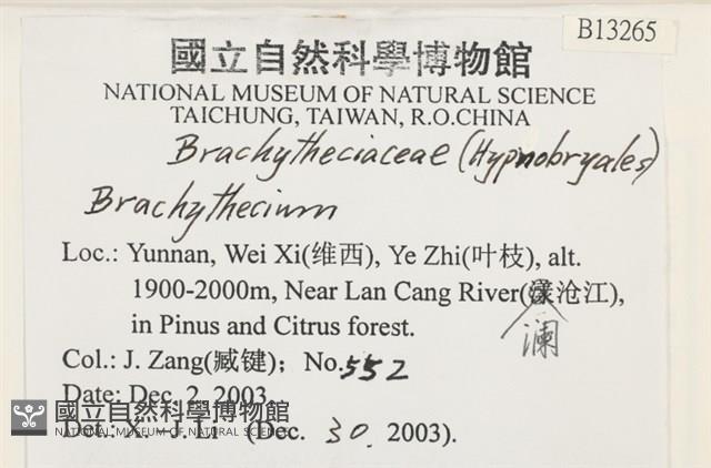 登錄號:B00013265藏品圖，第2張