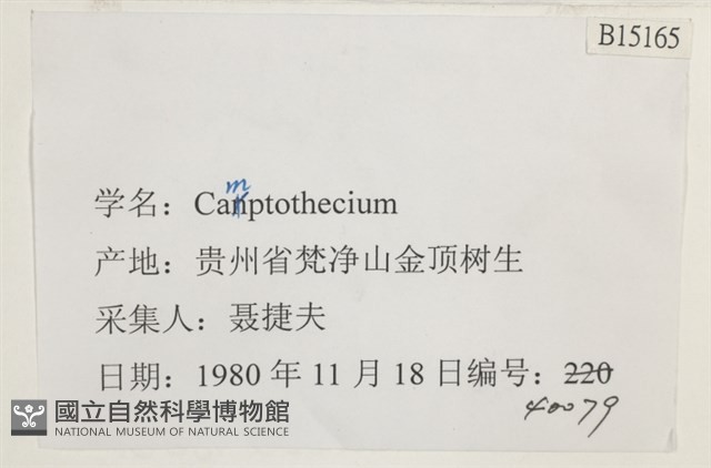 登錄號:B00015165藏品圖，第2張