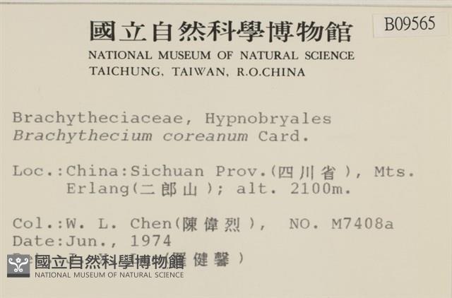 登錄號:B00009565藏品圖，第2張