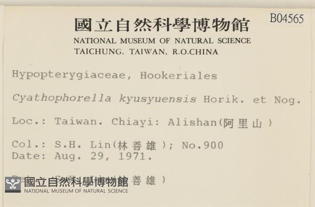 登錄號:B00004565藏品圖，第2張