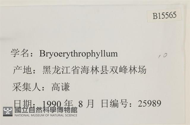 登錄號:B00015565藏品圖，第2張