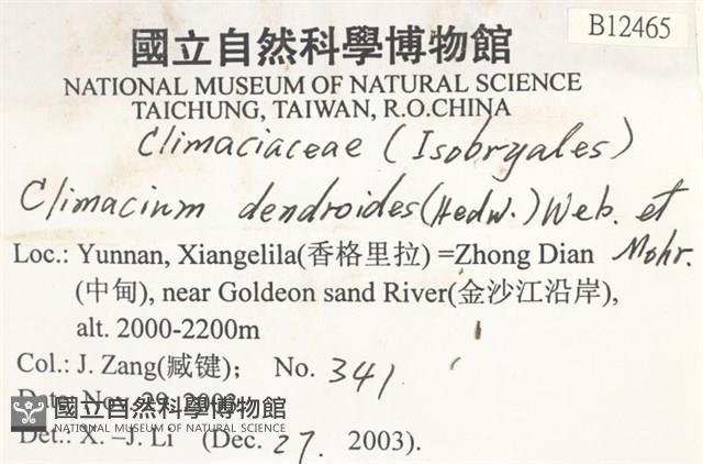 登錄號:B00012465藏品圖，第2張