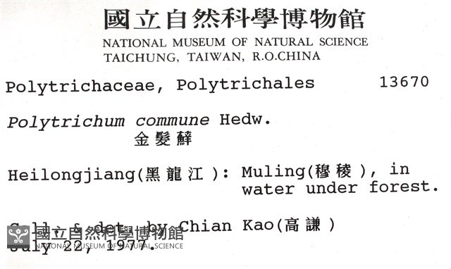 金髮蘚藏品圖，第2張