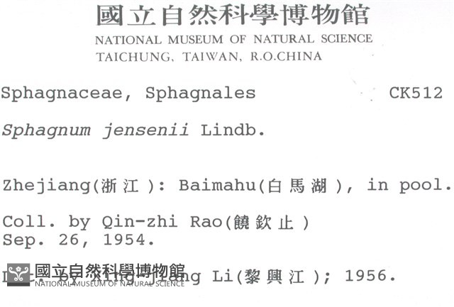 垂枝泥炭蘚藏品圖，第2張