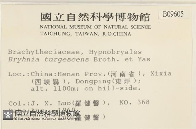 登錄號:B00009605藏品圖，第2張