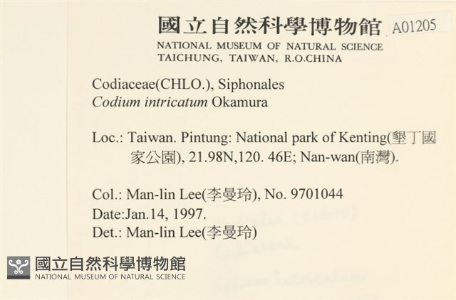 登錄號:A00001205藏品圖，第2張