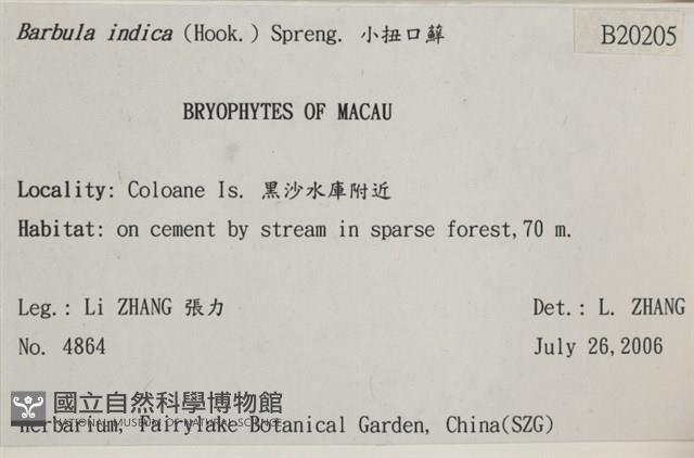 印度扭口蘚藏品圖，第2張