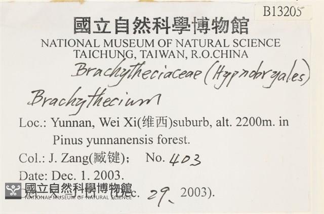 登錄號:B00013205藏品圖，第2張