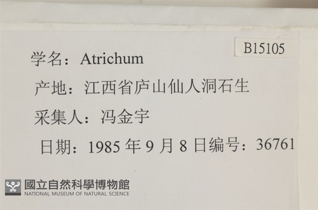登錄號:B00015105藏品圖，第2張