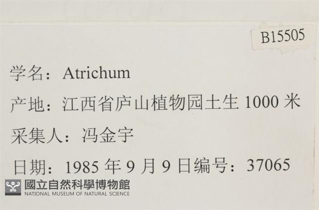 登錄號:B00015505藏品圖，第2張