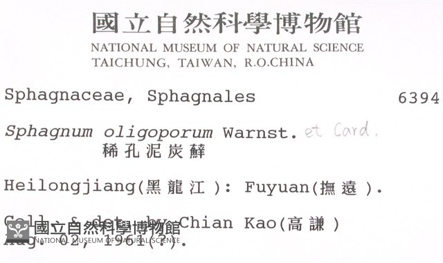 稀孔泥炭蘚藏品圖，第2張