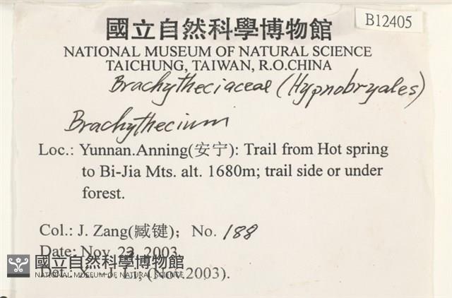 登錄號:B00012405藏品圖，第2張