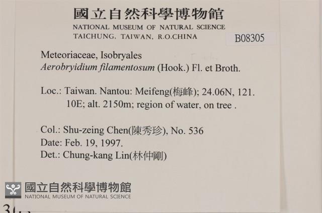 毛扭蘚藏品圖，第2張