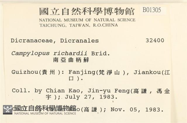 節莖曲柄蘚藏品圖，第2張