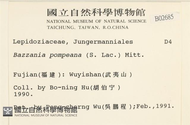 登錄號:B00002685藏品圖，第2張