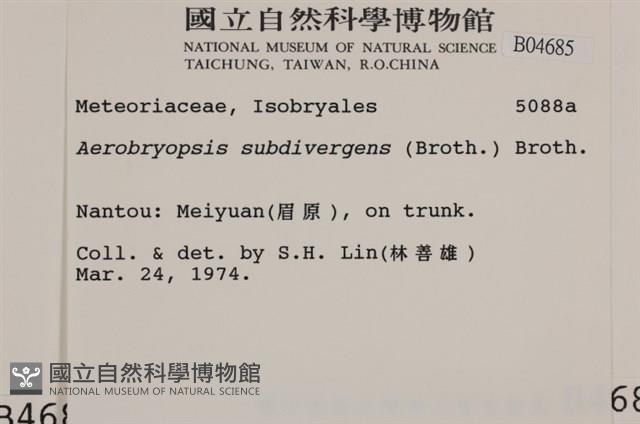 大灰氣蘚藏品圖，第2張