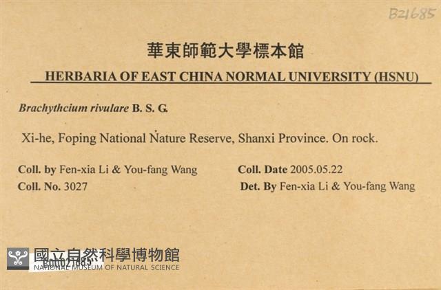 溪邊青蘚藏品圖，第2張