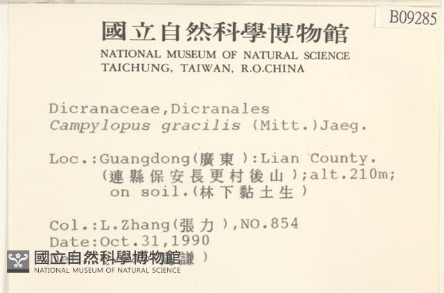 登錄號:B00009285藏品圖，第2張