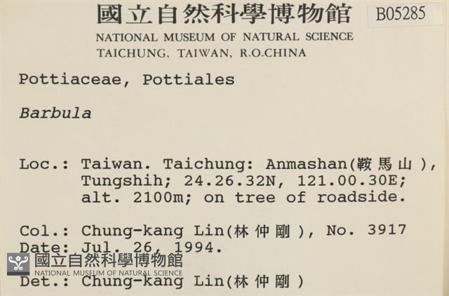 登錄號:B00005285藏品圖，第2張