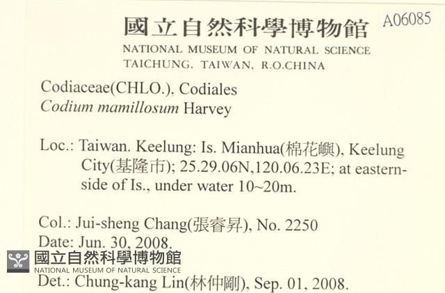 登錄號:A00006085藏品圖，第2張