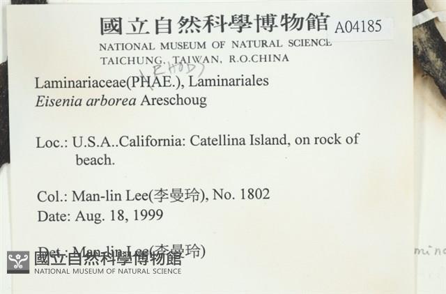 登錄號:A00004185藏品圖，第2張