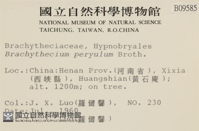 登錄號:B00009585藏品圖，第2張