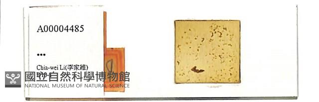 登錄號:A00004485藏品圖，第1張