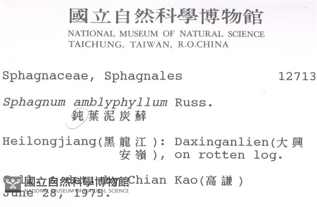 鈍葉泥炭蘚藏品圖，第2張