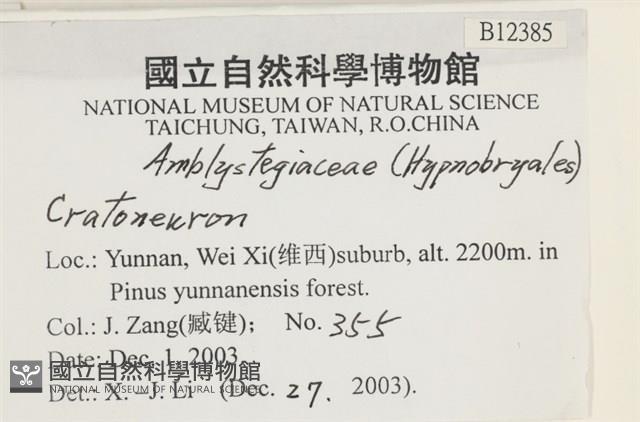 登錄號:B00012385藏品圖，第2張