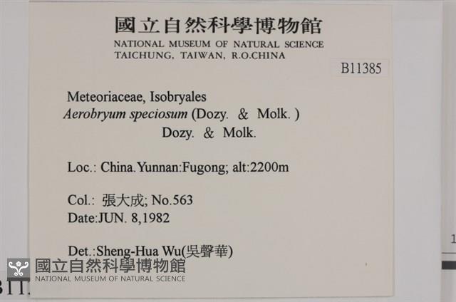 登錄號:B00011385藏品圖，第2張