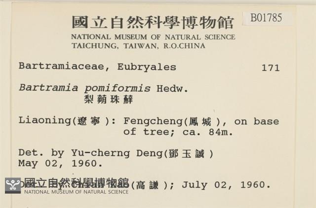 登錄號:B00001785藏品圖，第2張