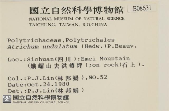 仙鶴蘚藏品圖，第2張