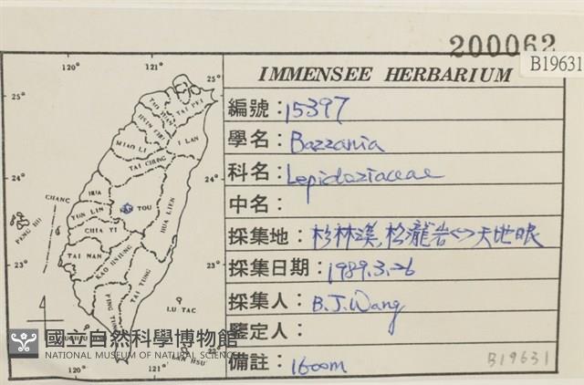 登錄號:B00019631藏品圖，第2張