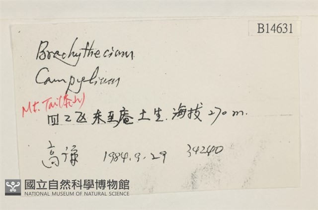 登錄號:B00014631藏品圖，第2張