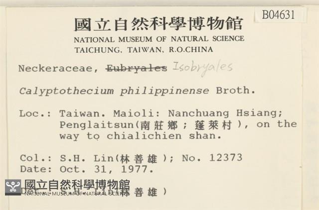 登錄號:B00004631藏品圖，第2張