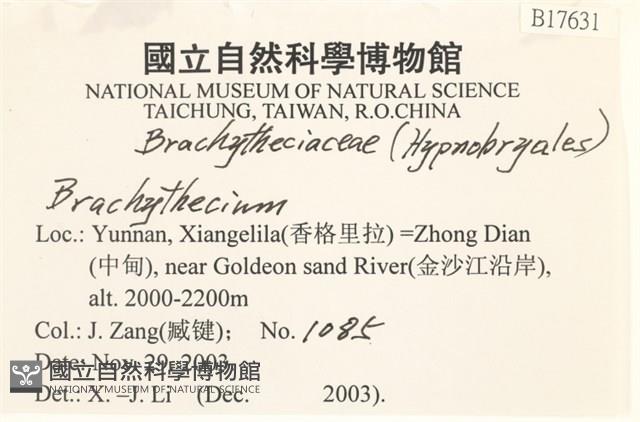 登錄號:B00017631藏品圖，第2張