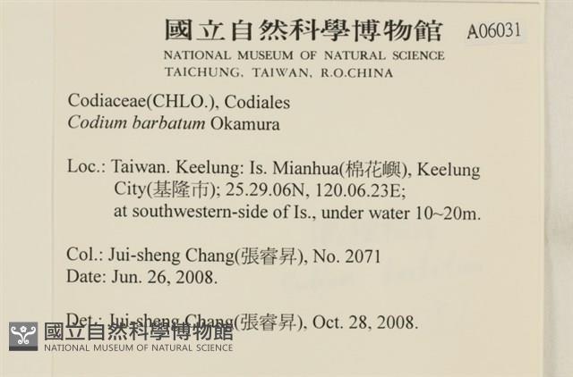 登錄號:A00006031藏品圖，第2張